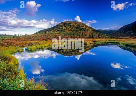 Riflesso delle nuvole in un lago nel paesaggio autunnale della tundra, riflesso delle nuvole in un lago in estate indiana, Parco Nazionale di Denali, Alaska Foto Stock