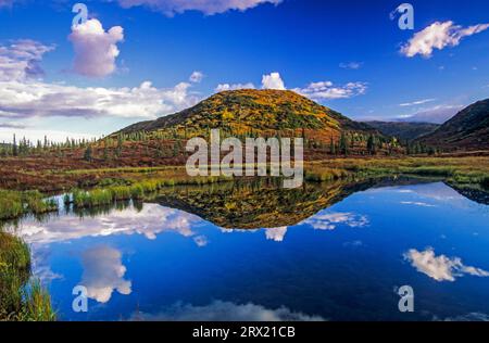 Riflesso delle nuvole in un lago nel paesaggio autunnale della tundra, riflesso delle nuvole in un lago in estate indiana, Parco Nazionale di Denali, Alaska Foto Stock