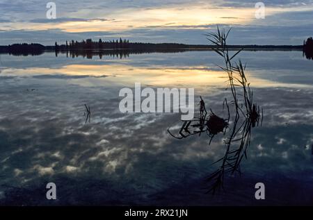 Atmosfera serale presso il lago Astotin, Elk Island National Park, Canada Foto Stock