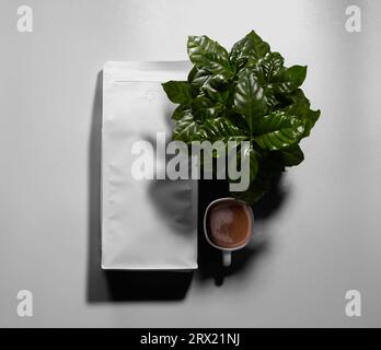 Un mockup bianco con ombre, una tazza di caffè, un albero di qualità arabica e vista dall'alto. Modello di un elegante confezione doy per grani, per la presentazione del design e del motivo Foto Stock