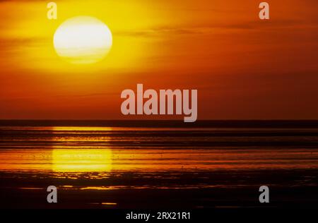 Tramonto sulla costa del Mare del Nord, tramonto sulla costa del Mare del Nord, Meldorfer Bucht, Schleswig-Holstein Foto Stock