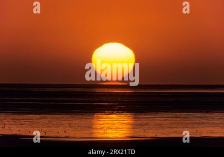 Tramonto sulla costa del Mare del Nord, tramonto sulla costa del Mare del Nord, Meldorfer Bucht, Schleswig-Holstein Foto Stock