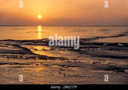 Tideway al tramonto sulla costa del Mare del Nord, Meldorfer Bucht, Schleswig-Holstein Foto Stock