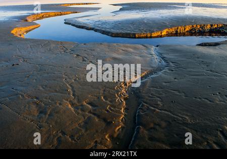 Priel nel Mare di Wadden sulla costa del Mare del Nord, Tideway nel Mare di Wadden sulla costa del Mare del Nord, Meldorfer Bucht, Schleswig-Holstein Foto Stock