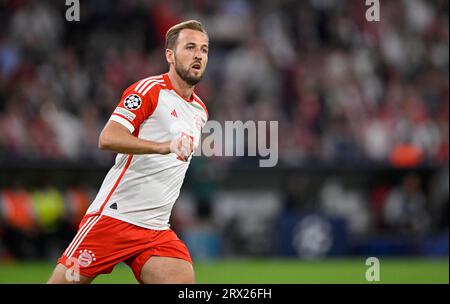 Harry Kane FC Bayern Monaco FCB, Champions League, Allianz Arena, Monaco, Baviera, Germania Foto Stock