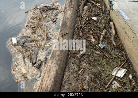 la spazzatura e la poluzione si raccolgono lungo un bacino in un fiume Foto Stock