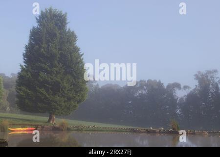 A casa nella fattoria, Kangaroo Ground, Vic, Australia Foto Stock