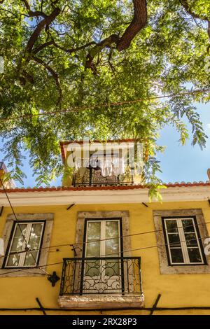 Una graziosa casa dipinta di giallo ombreggiata da un albero di acacia in una strada secondaria nell'Alfama, il vecchio quartiere di Lisbona, Portogallo Foto Stock