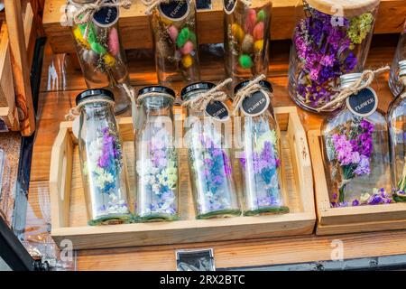 Fiori di Statice colorati secchi e coda di cavallo in bottiglie di vetro vendute al mercato di strada. Fiore secco multicolore Limonio e lanugine Lagurus ovatus per hom Foto Stock