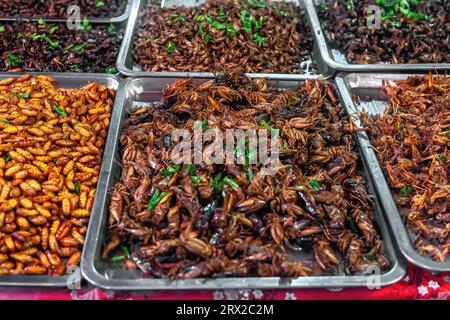 Insetti grilli speziati fritti al mercato notturno. Insetti di cavallette arrosto in vendita al banco in Asia. Vendita di piatti esotici di locuste naturali Foto Stock