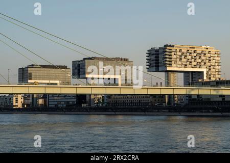 Case di gru a Rheinau Harbour, Colonia, nella Renania settentrionale-Vestfalia, Germania, Europa Foto Stock