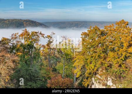 Nebbia sulla Valle Altmuhl, Riedenburg, Parco naturale della Valle Altmuhl, Baviera, Germania, Europa Foto Stock