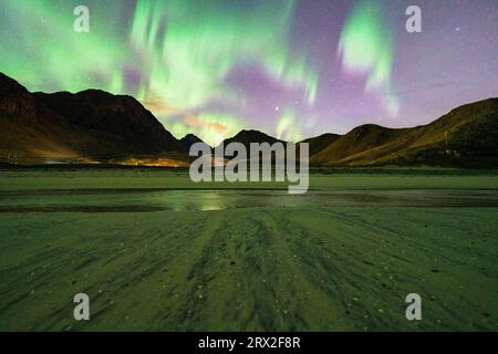 Cielo stellato con aurora boreale (aurora boreale) sopra la spiaggia ghiacciata di Haukland, le isole Lofoten, Nordland, Norvegia, Scandinavia, Europa Foto Stock