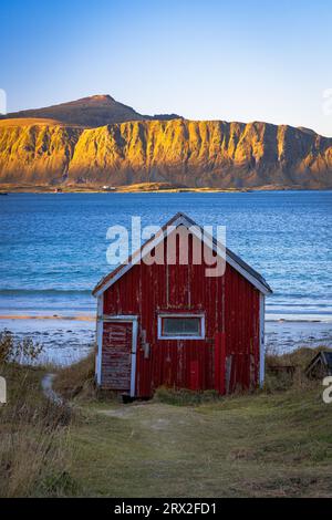 Capanna di pescatori rossi sulla spiaggia di Ramberg con montagne sullo sfondo all'alba, Flakstad, Isole Lofoten, Nordland, Norvegia, Scandinavia, Europa Foto Stock