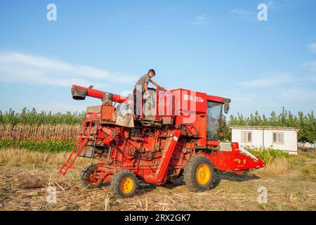 Contea di Luannan, Cina - 24 settembre 2022: Gli agricoltori stanno riparando la mietitrice per raccogliere sorgo, Cina settentrionale Foto Stock