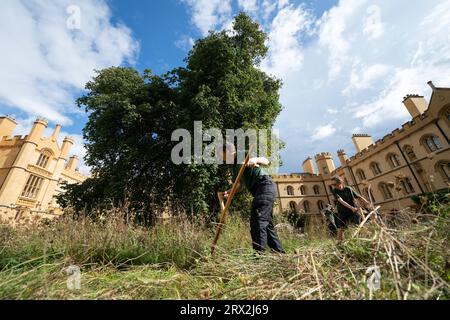 Il giardiniere di Trinity Dr Jo Miles e il collega professore di Trinity Marian Holness falciarono fiori selvatici nel Meadow Circle presso il XIX secolo New Court del Trinity College di Cambridge. La falciatura, o falciatura, è una tradizione secolare che si ritiene sia stata praticata a Trinity prima dei rasaerba. Data immagine: Venerdì 22 settembre 2023. Foto Stock