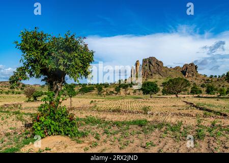 Campi e paesaggi lunari, Rhumsiki, Mandara, far North province, Camerun, Africa Foto Stock