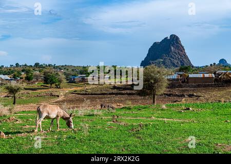 Villaggio e paesaggio lunare, Rhumsiki, Mandara, far North province, Camerun, Africa Foto Stock