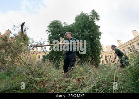 Il giardiniere di Trinity Dr Jo Miles e il collega professore di Trinity Marian Holness falciarono fiori selvatici nel Meadow Circle presso il XIX secolo New Court del Trinity College di Cambridge. La falciatura, o falciatura, è una tradizione secolare che si ritiene sia stata praticata a Trinity prima dei rasaerba. Data immagine: Venerdì 22 settembre 2023. Foto Stock