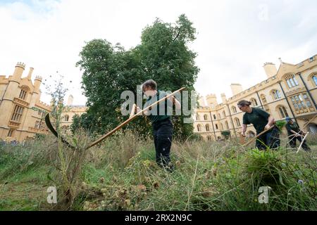 Quattro scythers femminili - giardinieri del Trinity Dr Jo Miles (a sinistra) e Joharna Richards, professoressa del Trinity Marian Holness e capo giardiniere al Clare College Kate Hargreaves - falciare fiori selvatici nel Meadow Circle presso la New Court del Trinity College di Cambridge. La falciatura, o falciatura, è una tradizione secolare che si ritiene sia stata praticata a Trinity prima dei rasaerba. Data immagine: Venerdì 22 settembre 2023. Foto Stock