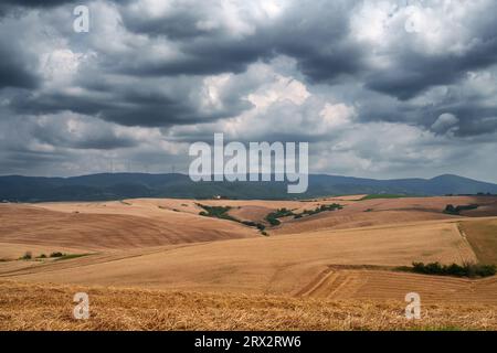 Paesaggio rurale sulle colline di Orciano Pisano, provincia di Pisa, Toscana, Italia d'estate Foto Stock