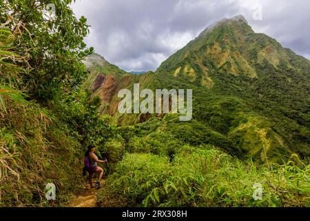 Boiling Lake Hike, Dominica, Windward Islands, Indie occidentali, Caraibi, America centrale Foto Stock