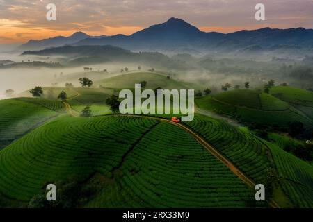 Aereo di auto rossa su strada attraverso Long Coc Tea Hill, Vietnam, Indocina, Sud-est asiatico, Asia Foto Stock