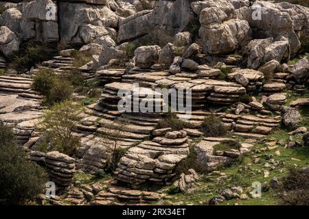 Formazioni di roccia calcarea nella riserva naturale di El Torcal de Antequera, Andalusia, Spagna, Europa Foto Stock