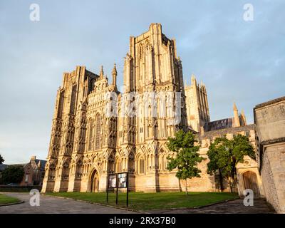 Luce notturna sul fronte occidentale, cattedrale di Wells, Wells, Somerset, Inghilterra, Regno Unito, Europa Foto Stock