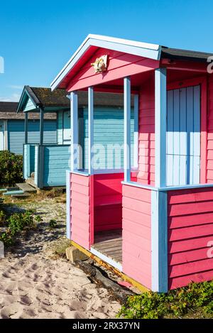 Colorate capanne in legno battute dal vento nelle dune di sabbia sulla spiaggia di Skanör med Falsterbo sul Öresund al sole del pomeriggio, Skåne, Svezia Foto Stock