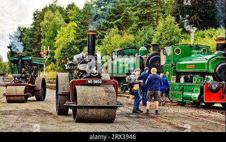 Motoscafo di Garten treni da rally a vapore e motori di trazione con fumo dai camini Foto Stock