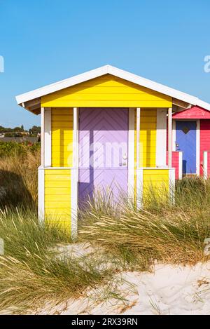 Vista frontale del fronte in legno di una capanna gialla sulla spiaggia di Skanör med Falsterbo al Öresund al sole serale di Skåne, Svezia Foto Stock