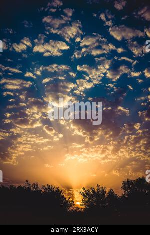 Un bellissimo tramonto in estate, con i raggi del sole che ballano tra le nuvole e i rami di alberi sagomati ... Foto Stock