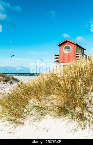 Torre di osservazione dei bagnini in legno rosso su palafitte presso il bar sulla spiaggia tra le dune di sabbia sulla spiaggia di Skanör med Falsterbo al sole del mattino, Skåne, Svezia Foto Stock