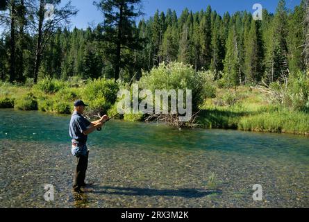 Pesca a East Fork Rock Creek, Beaverhead-Deerlodge National Forest, Montana Foto Stock