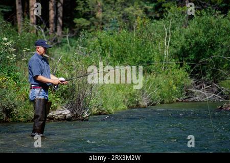 Pesca a East Fork Rock Creek, Beaverhead-Deerlodge National Forest, Montana Foto Stock