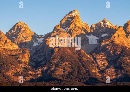 Alba al Grand Tetons National Park nel Wyoming. La prima luce del sole rende dorato il lato rivolto a est della catena montuosa Grand Tetons. Foto Stock