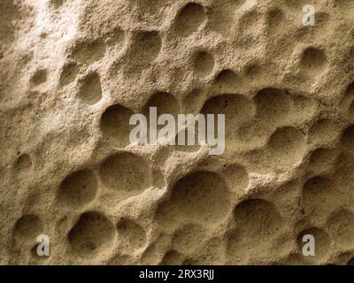 Pietra naturale ha la forma di un foro a nido d'ape. Pietra antica intemprata coperta da buchi. Foto ravvicinata della consistenza di una roccia di montagna. Film e. Foto Stock