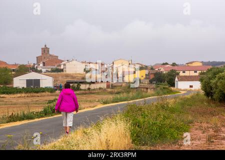 Pellegrini che camminano lungo il cammino di Santiago, il cammino di San Giacomo, avvicinandosi alla città spagnola di Azofra, Spagna Foto Stock