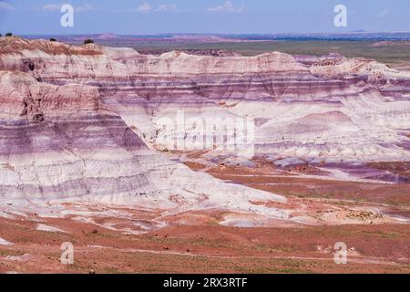 Blue Mesa nel Painted Desert nel Petrified Forest National Park in Arizona. Istituito per la prima volta come monumento nazionale nel 1906. Foto Stock