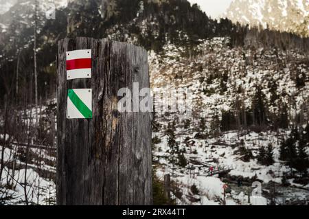 Segni turistici verdi e rossi sul tronco dell'albero in Slovacchia (Europa). Segni turistici sui percorsi turistici nelle montagne innevate in inverno. Foto Stock