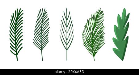 Set di rami di pino o abete semplici, elemento di design per le vacanze invernali, illustrazione vettoriale Illustrazione Vettoriale