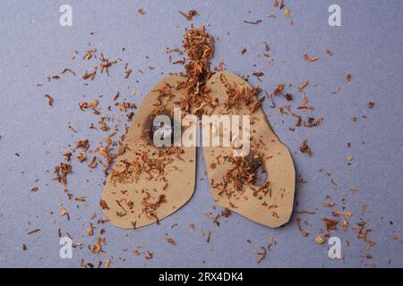 Ritaglio di carta dei polmoni umani con fori per sigaretta e tabacco su sfondo blu, vista dall'alto. Divieto di fumo Foto Stock