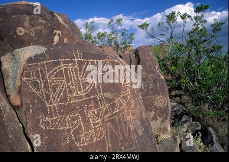 Petroglyph, tre fiumi Petroglyph Sito, Nuovo Messico Foto Stock