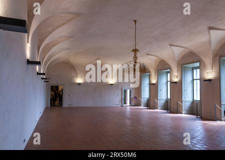 Praga, Repubblica Ceca - 18 agosto 2010: Sala di ricevimento dell'istituzione teresiana delle nobili signore nel Palazzo Rosenberg del Castello di Praga Foto Stock