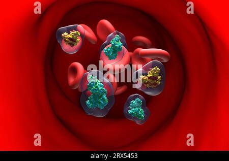 Enzima di tipo muscolare creatinchinasi (CK-MM) e di tipo cerebrale (CK-BB) nel flusso sanguigno - vista in sezione illustrazione 3d. Foto Stock