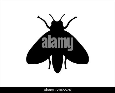 Sfondo bianco vettoriale silhouette Firefly Illustrazione Vettoriale