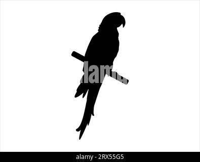 Sfondo bianco vettoriale della silhouette Macaw Illustrazione Vettoriale