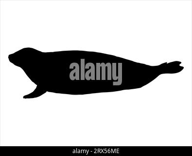Sigilla la silhouette animale con sfondo bianco vettoriale Illustrazione Vettoriale