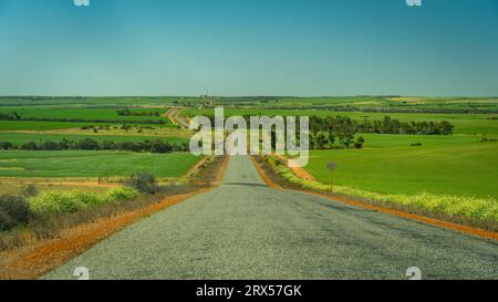 Picturesque road through the fields of wheat and canola in rural Western Australia Foto Stock